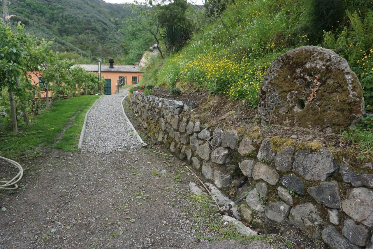 Agriturismo U Muinettu La Spezia Exteriör bild